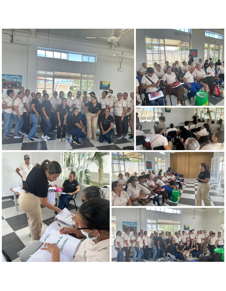 Jornada de Capacitación específica dirigida a Madres Comunitarias, en el marco del Sistema de Formación Permanente. Este espacio fortalece sus competencias metodológicas y temáticas, promoviendo prácticas pedagógicas contextualizadas, participativas y centradas en el desarrollo integral de la primera infancia